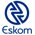 Eskom Holdings