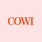 COWI